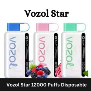 Vozol Star 12000 Puffs Disposable Vape